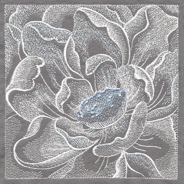 Delicate Blooming Petals