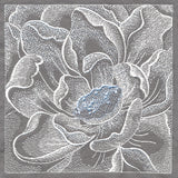 Delicate Blooming Petals