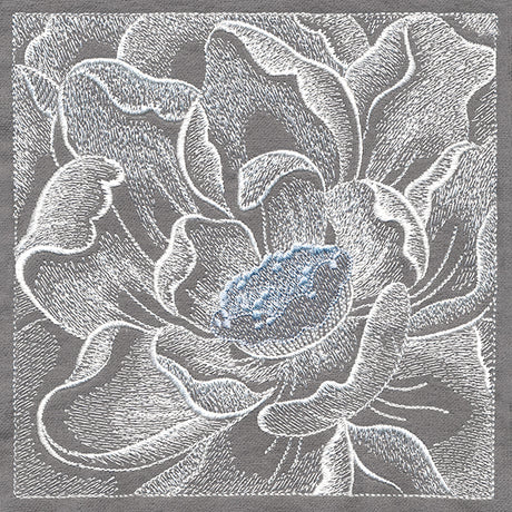 Delicate Blooming Petals