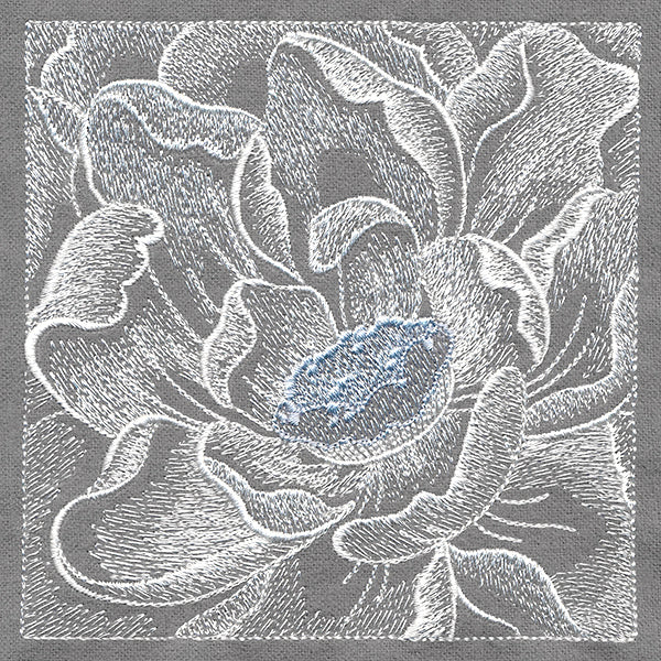 Delicate Blooming Petals