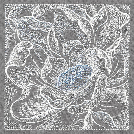 Delicate Blooming Petals