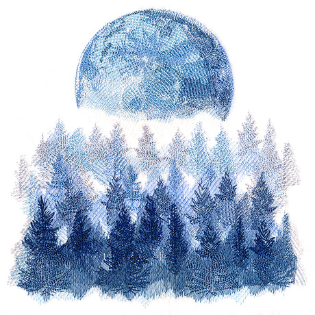 Misty Moonlit Forest