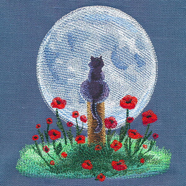 Enchanting Moonlit Kitty