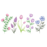 Dainty Wildflower Border 1