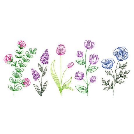 Dainty Wildflower Border 1