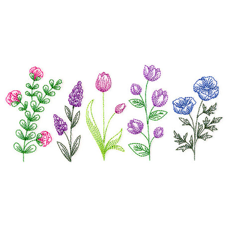 Dainty Wildflower Border 1