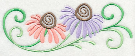 Coneflower Favorite Border