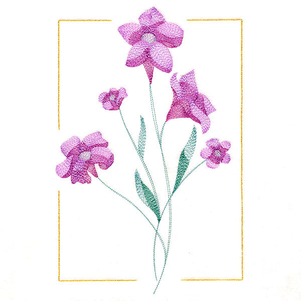 Dainty Blooms - Wild Petunia