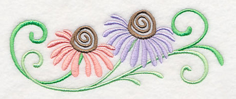 Coneflower Favorite Border