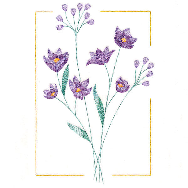 Dainty Blooms - Blue-Eyed Grass