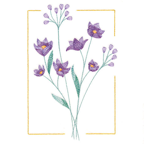 Dainty Blooms - Blue-Eyed Grass