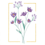 Dainty Blooms - Blue-Eyed Grass