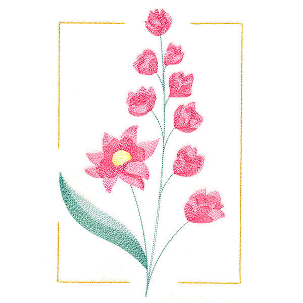 Dainty Blooms - Wild Hollyhock