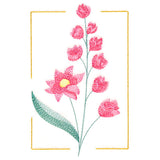 Dainty Blooms - Wild Hollyhock