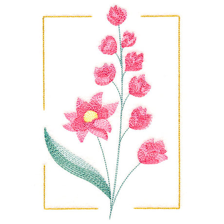 Dainty Blooms - Wild Hollyhock