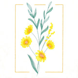 Dainty Blooms - Rose Heath