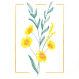 Dainty Blooms - Rose Heath