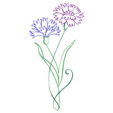 Floral Calligraphy - Cornflower