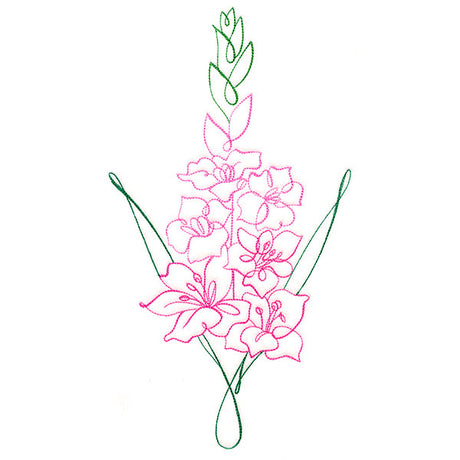 Floral Calligraphy - Gladiolus