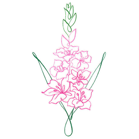 Floral Calligraphy - Gladiolus