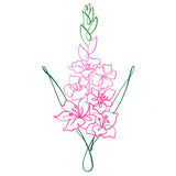 Floral Calligraphy - Gladiolus