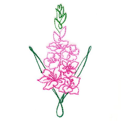 Floral Calligraphy - Gladiolus