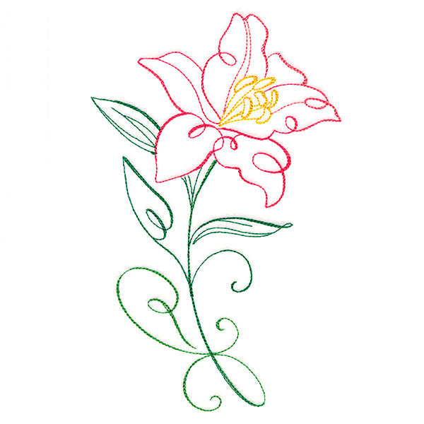 Floral Calligraphy - Lily