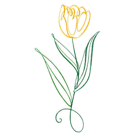 Floral Calligraphy - Tulip