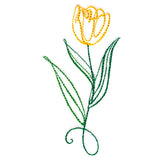 Floral Calligraphy - Tulip
