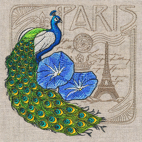 Parisian Peacock Medley