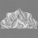 Blooming on the Edge Magnolia