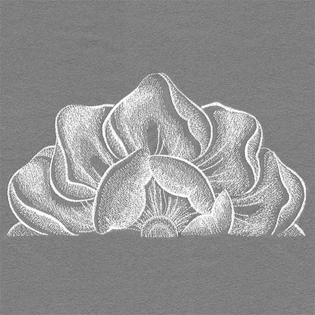 Blooming on the Edge Magnolia