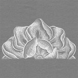 Blooming on the Edge Magnolia