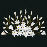 Blooming on the Edge Lilies