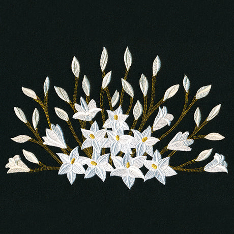 Blooming on the Edge Lilies