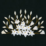 Blooming on the Edge Lilies