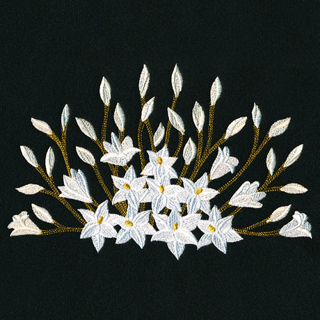 Blooming on the Edge Lilies