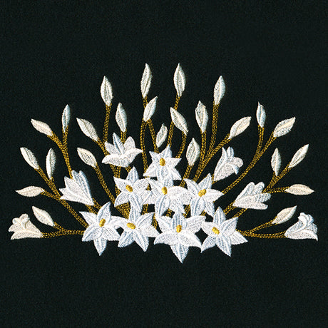 Blooming on the Edge Lilies