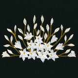 Blooming on the Edge Lilies