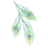 Cascading Peacock Feathers