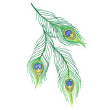 Cascading Peacock Feathers