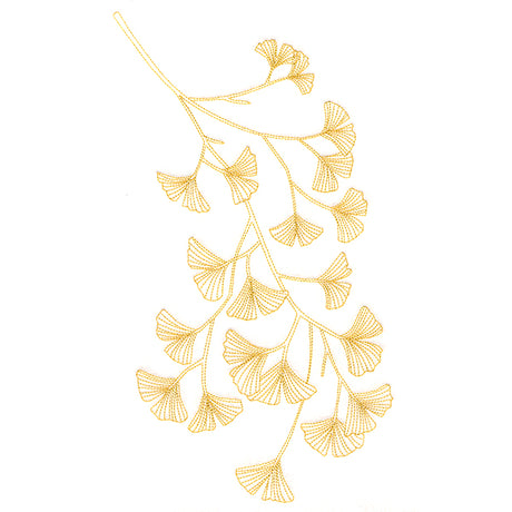 Delicate Branching Ginkgo