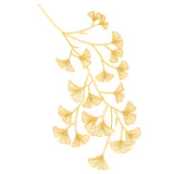 Delicate Branching Ginkgo