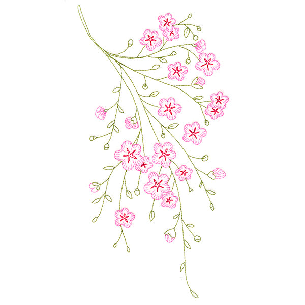 Dainty Branching Cherry Blossoms