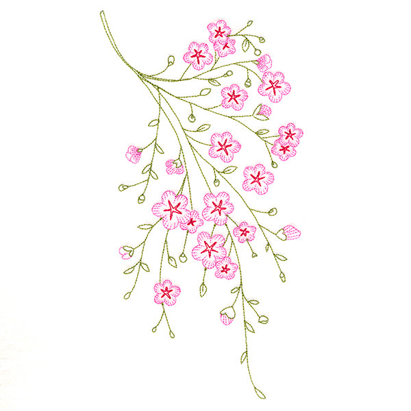 Dainty Branching Cherry Blossoms