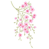 Dainty Branching Cherry Blossoms