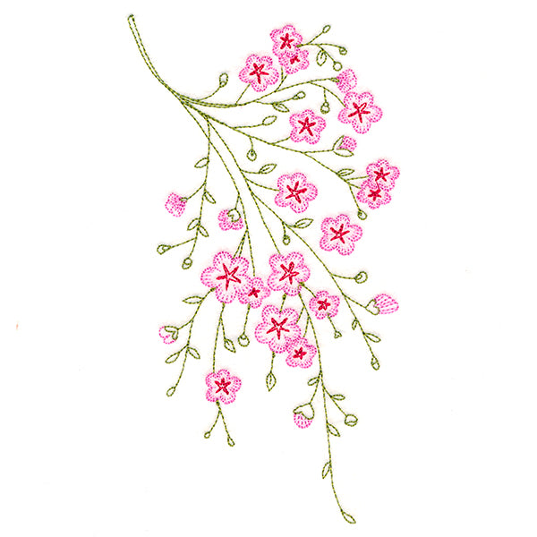 Dainty Branching Cherry Blossoms
