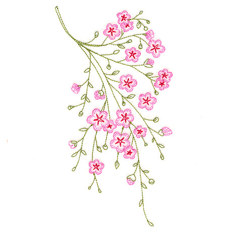Dainty Branching Cherry Blossoms