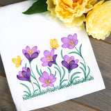 Wild and Blooming Crocus Border