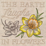 Delightful Daffodils Medley